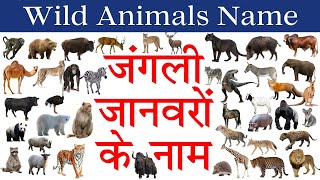 Wild Animals Name in Hindi & English with Pict