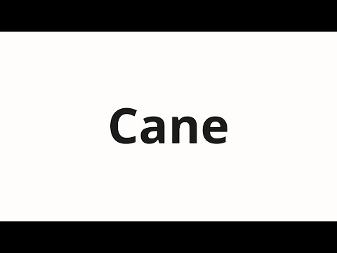 How to pronounce Cane