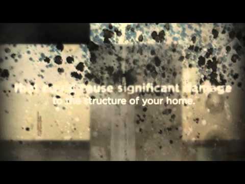 Santa Ana, CA Rain Gutters - Reasons Rain Gutters Are Essential