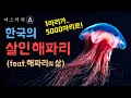 한국의 살인 해파리, 해파리 독의 비밀 (feat. 해파리의 삶) mp3