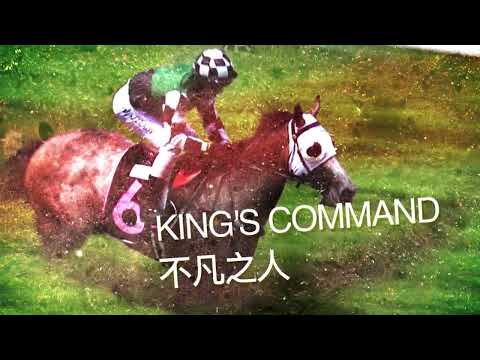 Kranji Mile 2022 Contenders