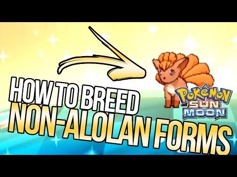 How to Breed Non-Alolan Regional Variant Pokemon in Sun and Moon | Austin John Plays
