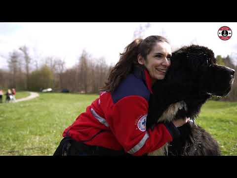 Wodne Pogotowie Ratunkowe oddział Żywiec - Dzień Psa Ratownika
