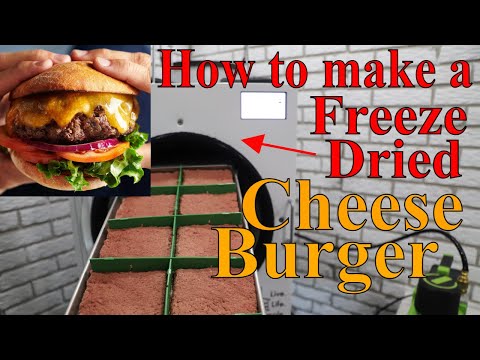 How to Make a FREEZE DRIED CHEESEBURGER-- w/ Raw...