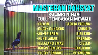 Download lagu MASTERAN DAHSYAT KOLIBRI NINJA TERBAIK FULL MATERI TEMBAKAN  COCOK BUAT PANCINGAN AGAR CEPAT GACOR mp3
