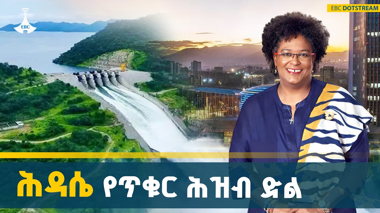 የሕዳሴ ግድብ ለአፍሪካ የኃይል ትስስርና ለኢትዮጵያ የኃይል ደኅንነት | GERD | Power | Integra