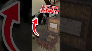 妖怪をオルゴールで特定する裏技 #phasmophobia #ファズモフォビア #ファスモフォビア #ホラーゲーム # #むにエル