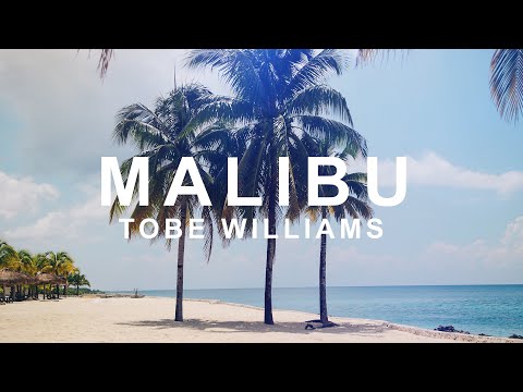 Tobe Williams - Malibu | Morph Release