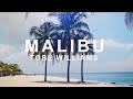 Tobe Williams Malibu Morph Release