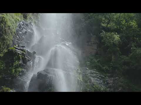 Karuna Ki One Attunement