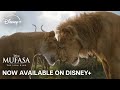 Mufasa: The Lion King trailer