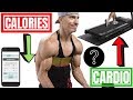 How To Keep Fat Loss Moving?