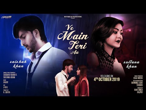 Ve Main Teri Han
