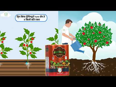 POTASIUM FULVATE 80%