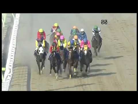 2018.03.28 Keihin Cup (JPN) - Yamano Fight