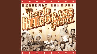 The Great Speckled Bird