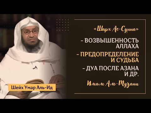 Большие ИМАМЫ О ВОЗВЫШЕННОСТИ Аллаха | «Шарх ас-Сунна» Имама аль-Музани — Шейх Умар Аль-Ид | Часть 4