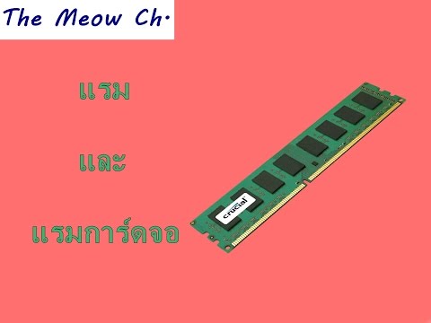 รักษาความอ่อนแอใน Penza ยี่หร่าดำรักษาความอ่อนแอน้ำมัน