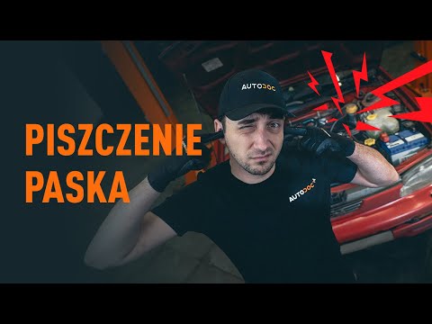 Co zrobić, gdy pasek piszczy? | Wskazówki od AUTODOC