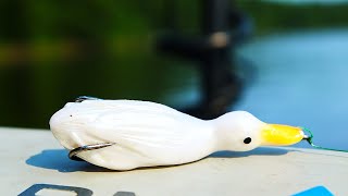 Baby Duck Lure Fishing Challenge (Tiny River)