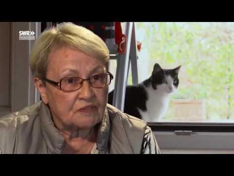 Das geheime Leben der Katzen