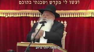 מהו החיסון האמיתי | קצרים | הרב דניאל זר