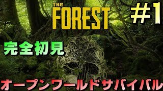 【The Forest 】ビビりの完全初見ホラーゲーム【サバイバルゲーム】