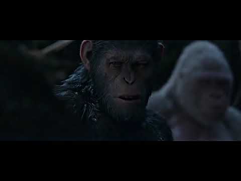 I Did Not Start This War  Scene   War for the Planet of the Apes 2017   YouTube