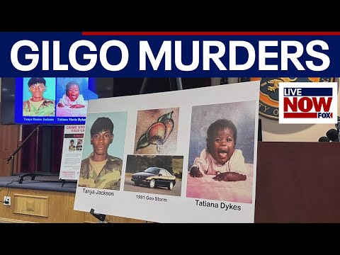 Video | Gilgo Beach murders: Woman and baby indetified in relation to case