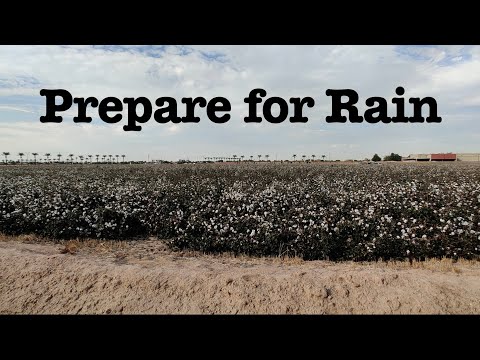 Prepare for Rain