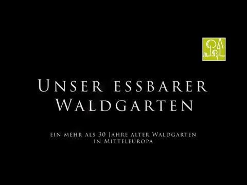 unser essbarer Waldgarten - ein mehr als 30 Jahre alter Waldgarten in Mitteleuropa
