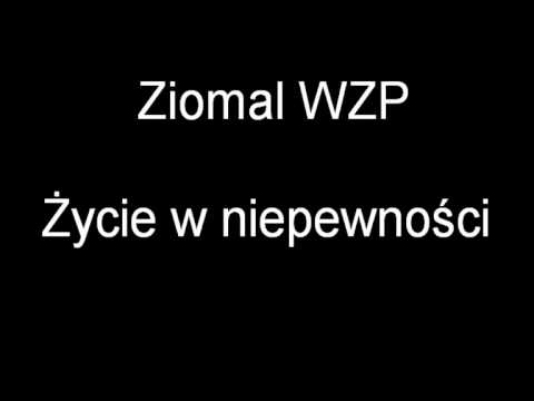 Ziomal WZP - Życie w niepewności