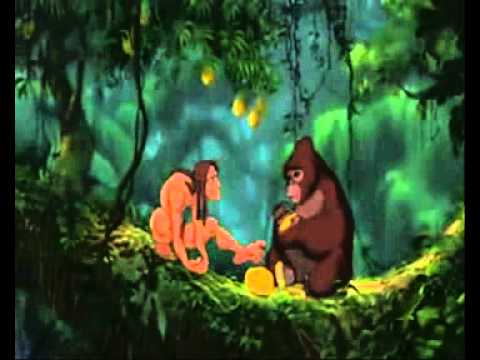 Takan Dönner Herr des Güngels in HD