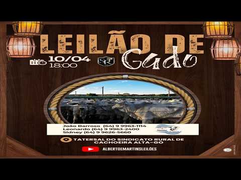 LEILÃO ALBERTO e MARTINS 10/04/2026 AS 18:00 hs em Cachoeira Alta Go.