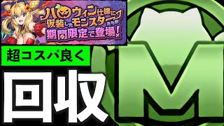 【MP50万】超絶簡易編成で即回収！ハロウィンコロシアム、ハロウィンナイトをハイパー効率よくクリアする方法【パズドラ】