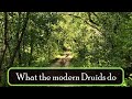 What Do The Modern Druids Do