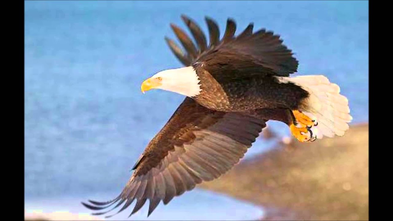 MEDITAÇÃO GUIADA-LIGUE SEU SOLUCIONADOR DE PROBLEMAS AGORA/KELI SOARES