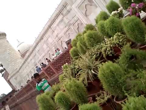 Describing Taj mahal by phani