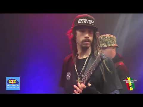 Cultivo Sensimila / Quarentena Reggae /Associação Cultural Reggae