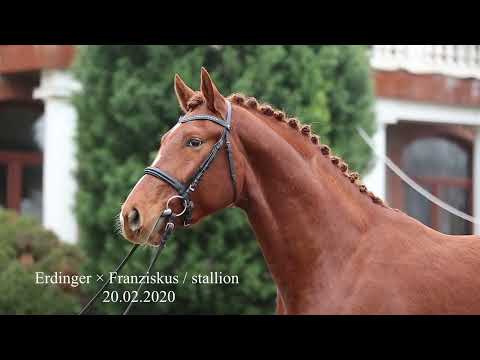 Elvis: ERDINGER x FRANZISKUS