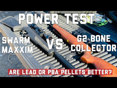 Gamo Bone Collector G2 VS Swarm Maxxim 22 Cal POWER COMPARISON | Lead VS PBA WHICH Is Best?