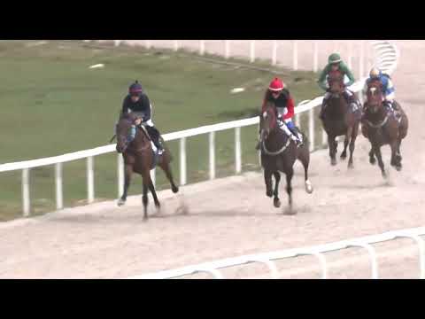 2022.09.18. 01. futam - VAJDA SÁNDOR EMLÉKVERSENY - NYERETLENEK VERSENYE (V.kat.) (szintetikus)