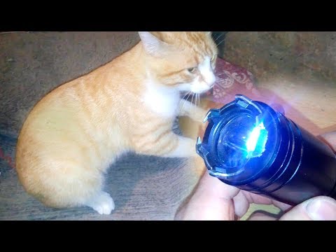 Фонарь-шокер BL-1203 | ремонт токопроводящей пластины