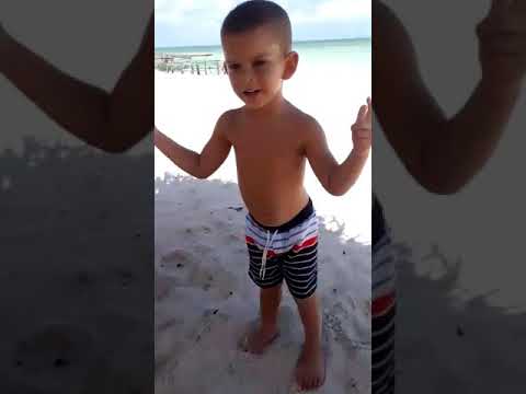 Mc Lucy,Biel xcamoso, Shevchenko e Elloco