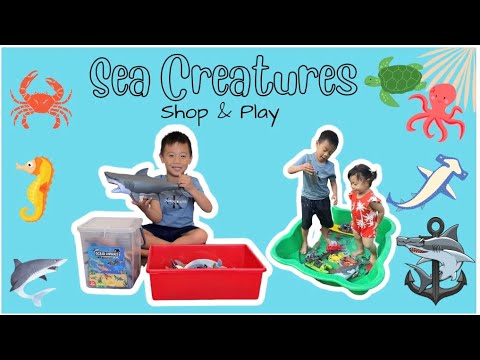 Sea Creatures - Shop & Play | R Life Toys Review