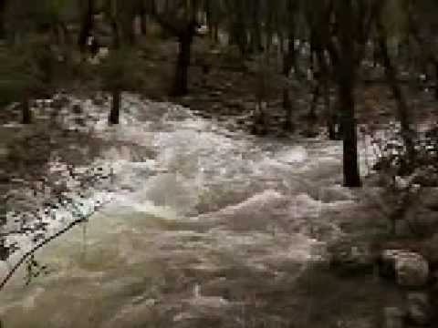 RE: Surgencias de agua