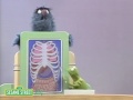 Sesame Street Elmo S World 0090