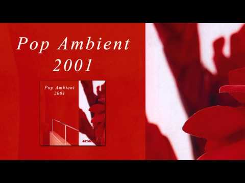 Markus Guentner - Pilot 'Pop Ambient 2001' Album