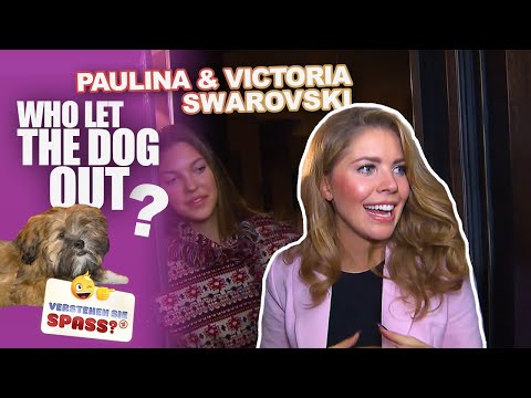 Wo ist Victoria Swarovskis Hund? | Verstehen Sie Spaß?