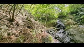 ★番外編★ 葛葉川本谷から右股 ”二ノ塔方面遡行＋二ノ塔山頂直登尾根”